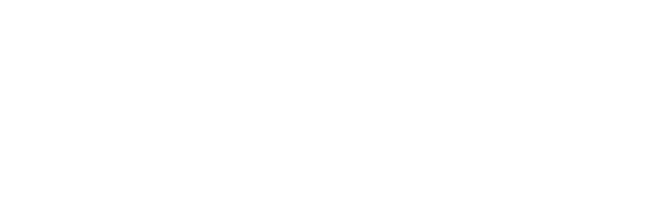 NBBA Logo